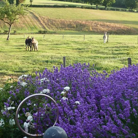 La Fermette Bleue Holiday home